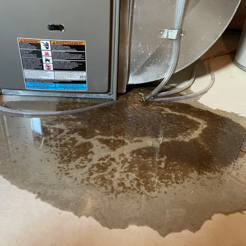 Appliance Leak Cleanup in Great Barrington, MA